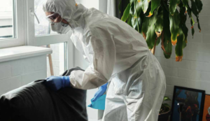 best pest exterminatior near you montreal